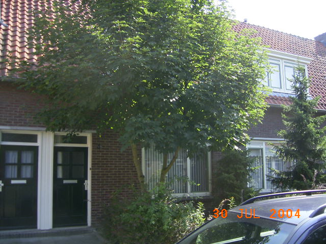 Giraffestraat 3, 5646 BP Eindhoven, Nederland