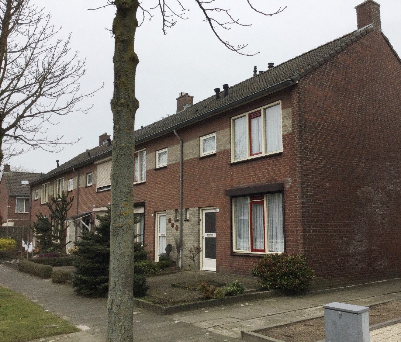 Beukehoutstraat 61