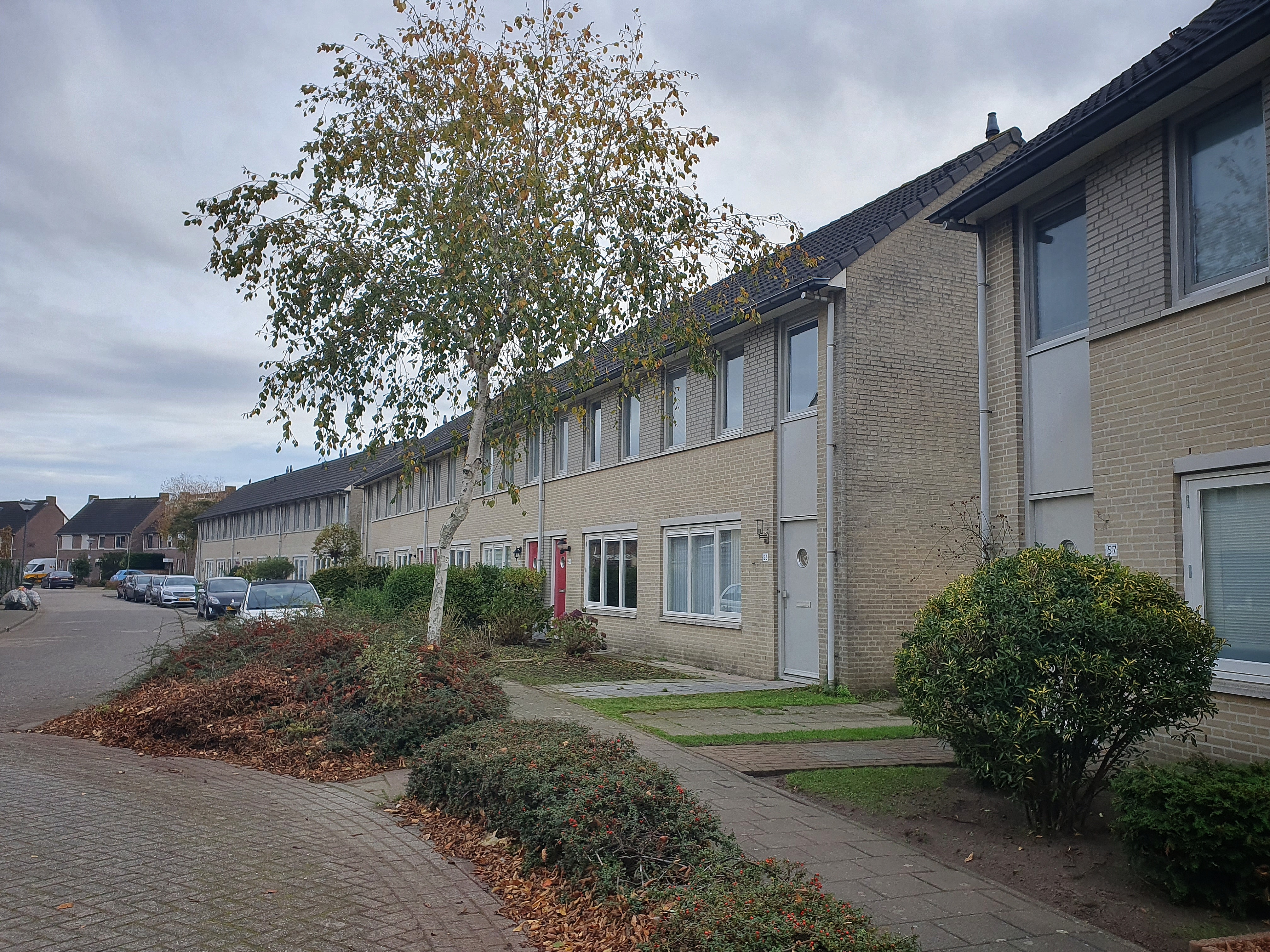 Damhertlaan 65, 5704 DD Helmond, Nederland