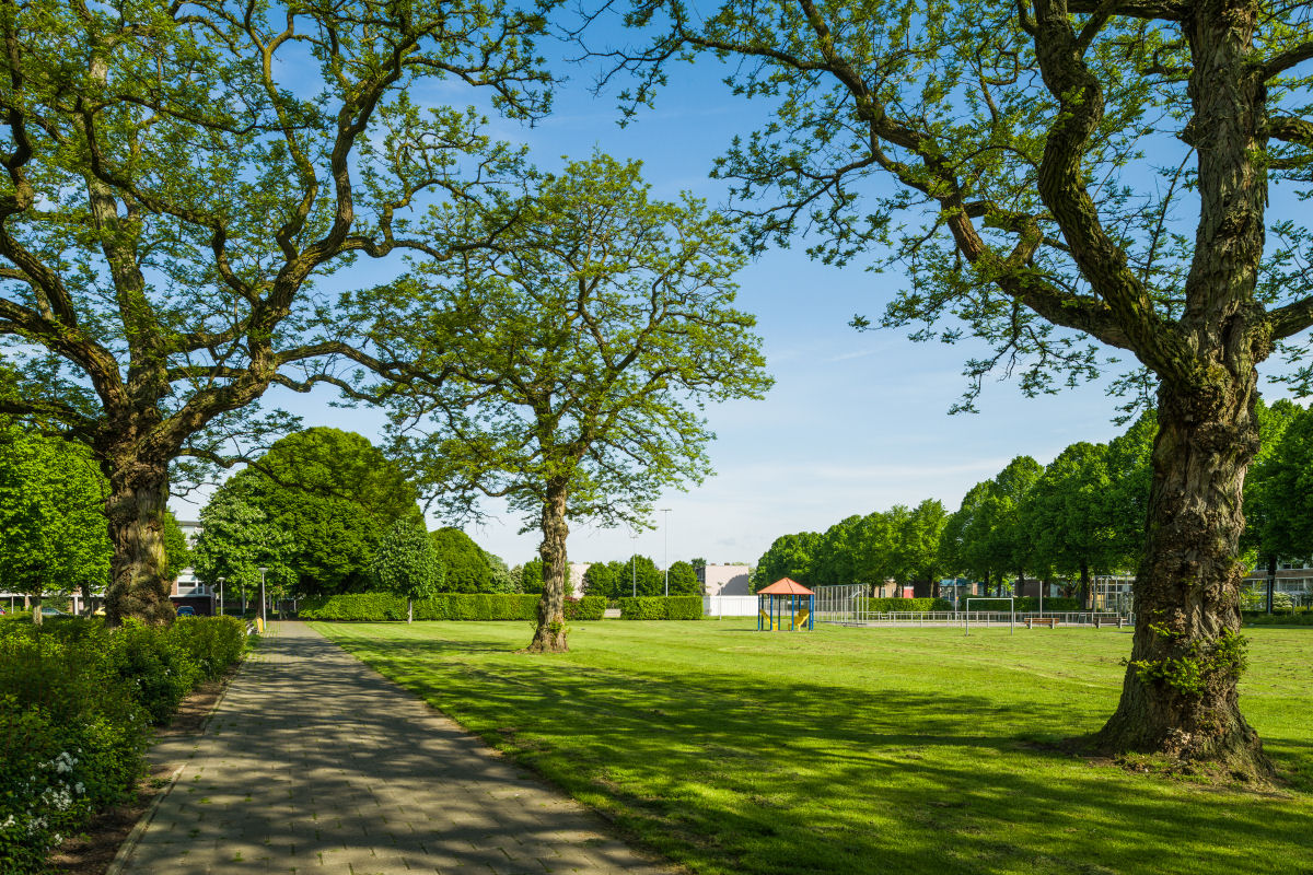 Van Thienenlaan 17