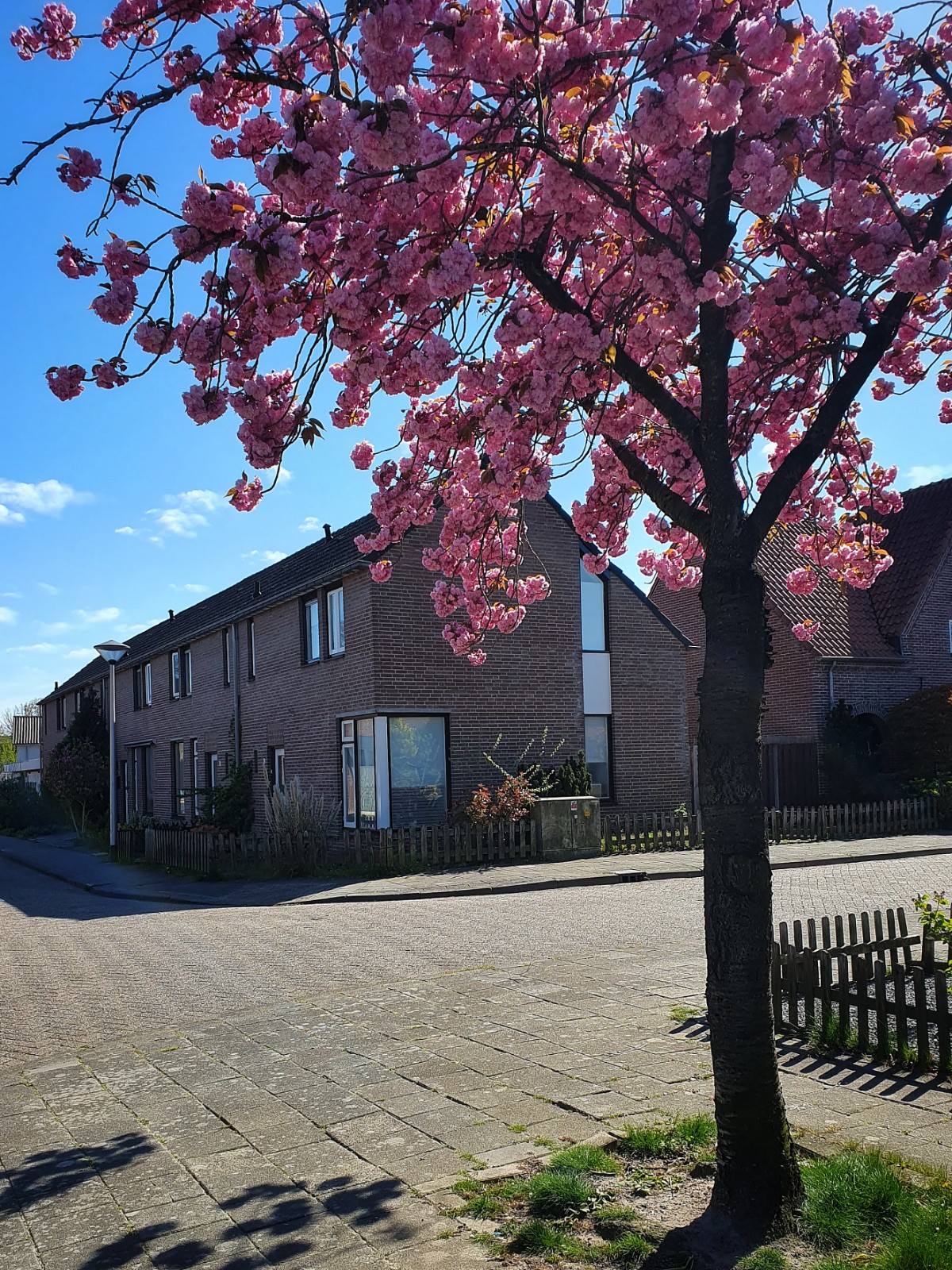 Pastoor Verbraeckenstraat 11, 5706 TZ Helmond, Nederland