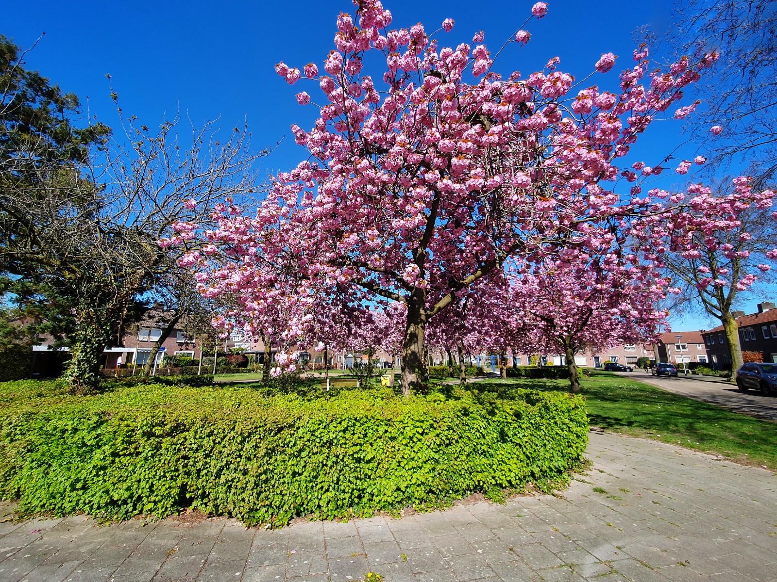 Pastoor Verbraeckenstraat 11