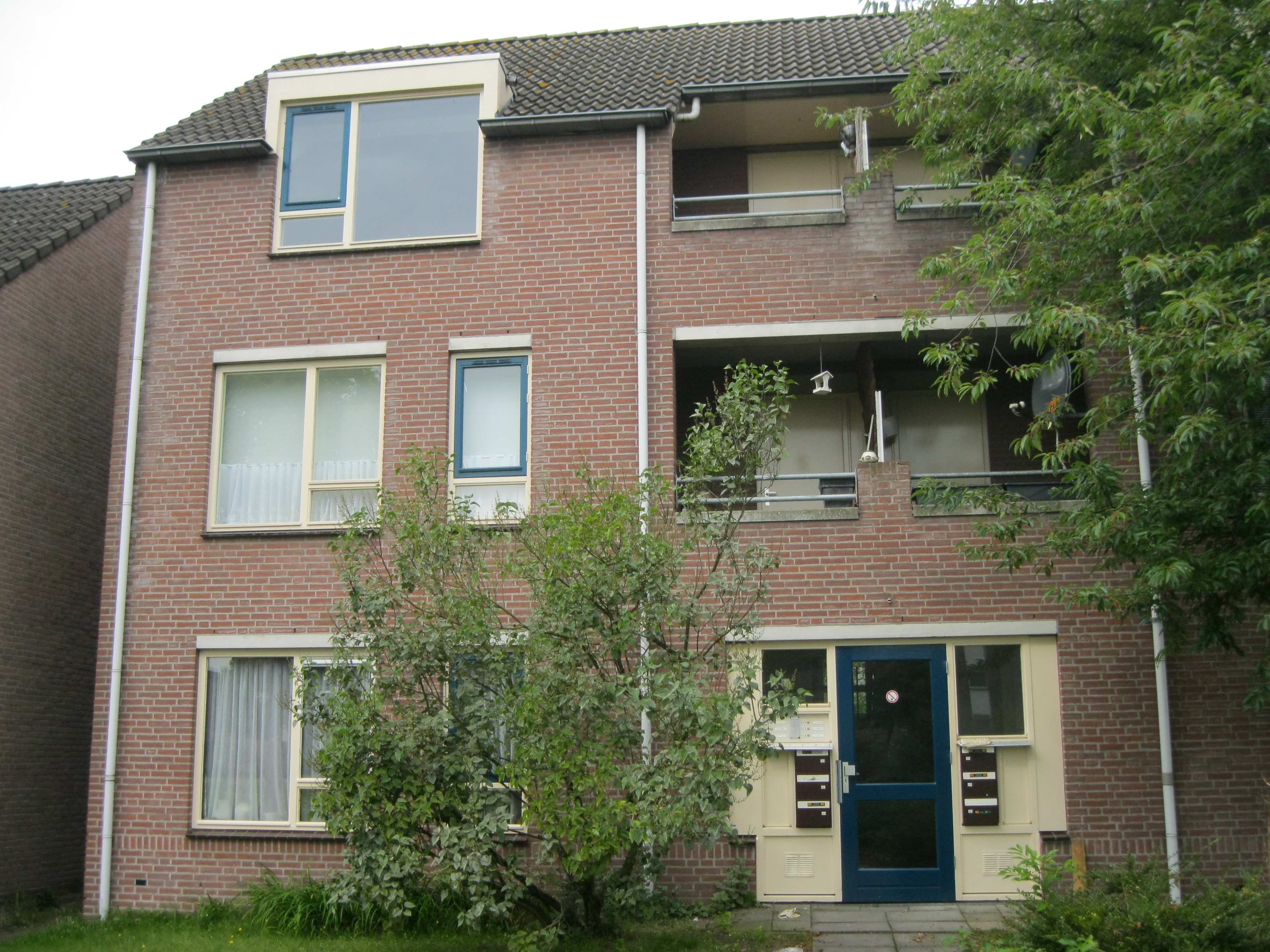 Waalstraat 49