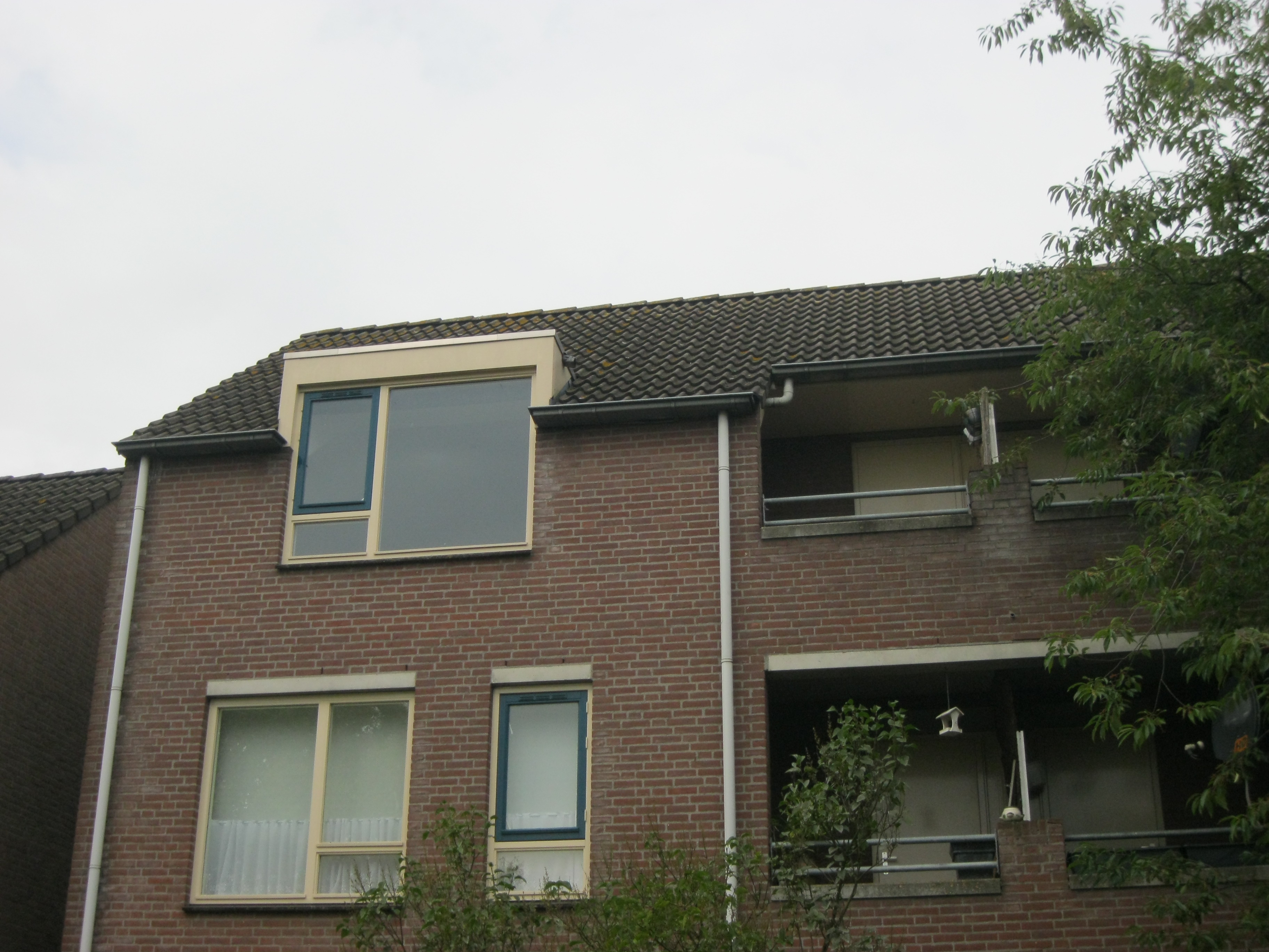 Waalstraat 49