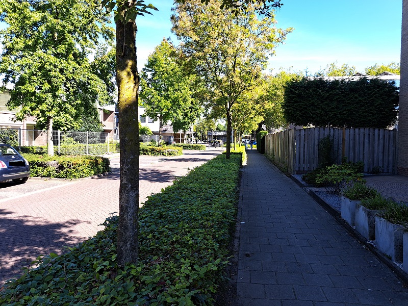 Heggeroosstraat 9