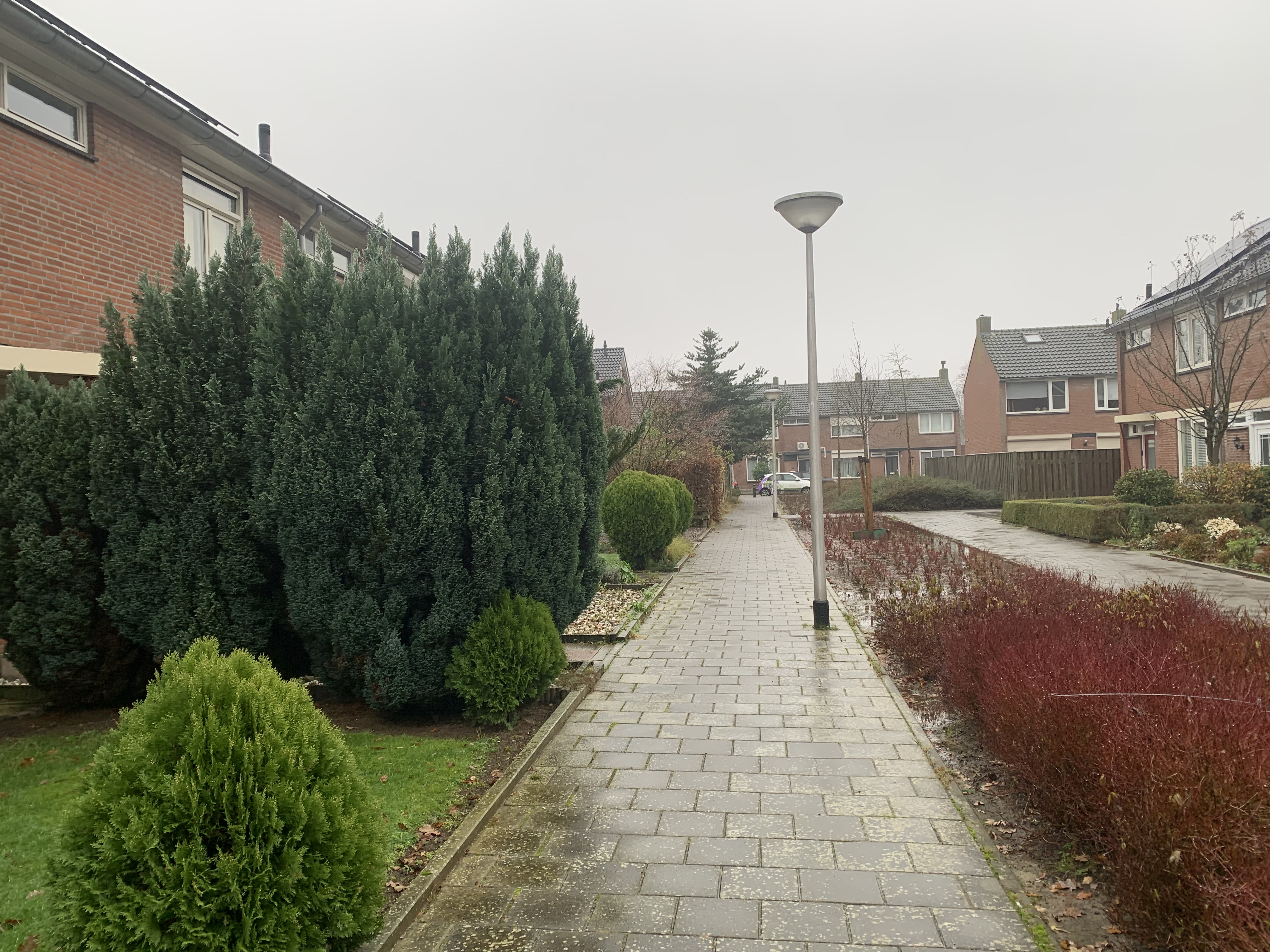 Putterstraat 10