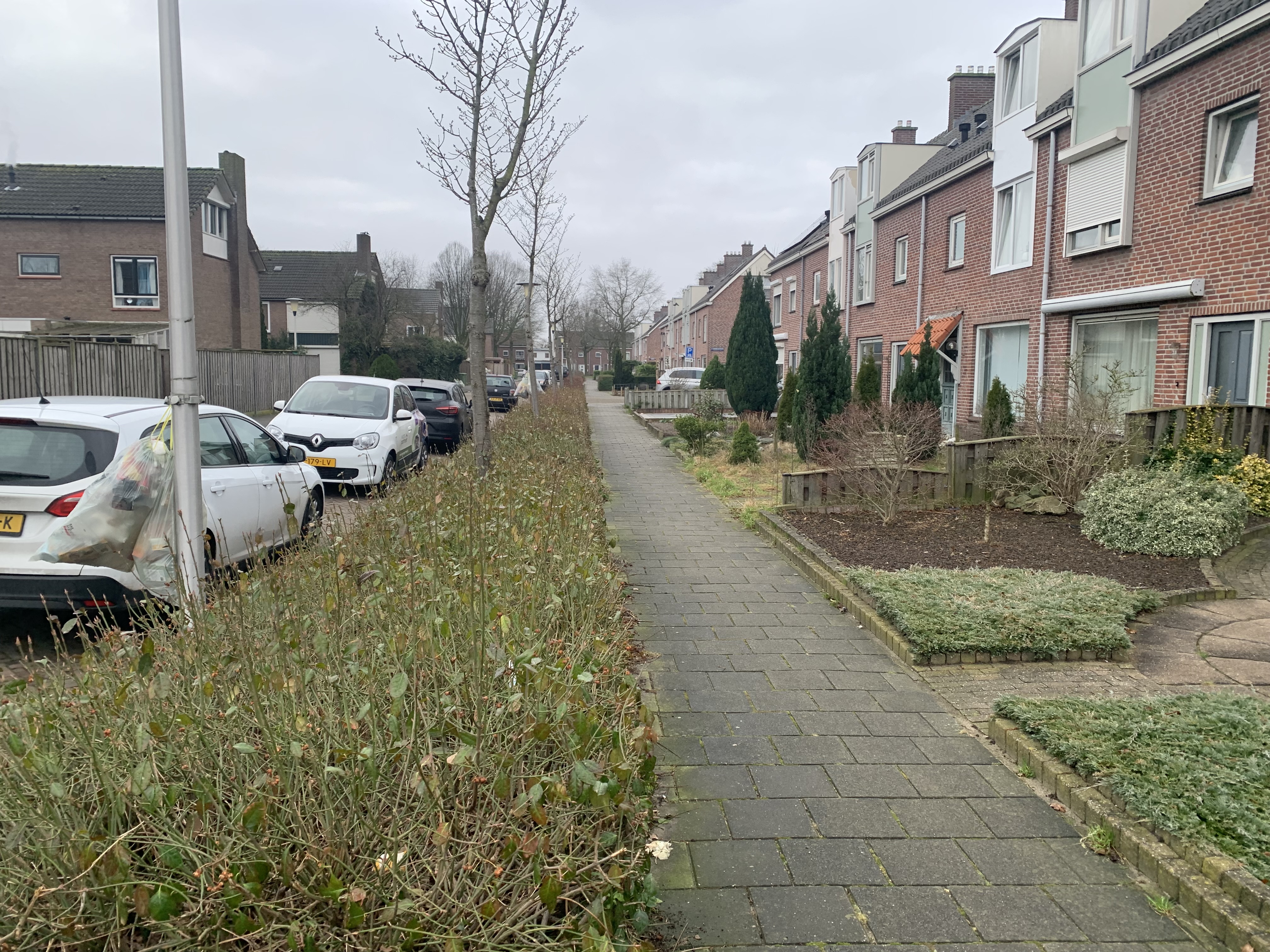 Antonie van Dijckstraat 35