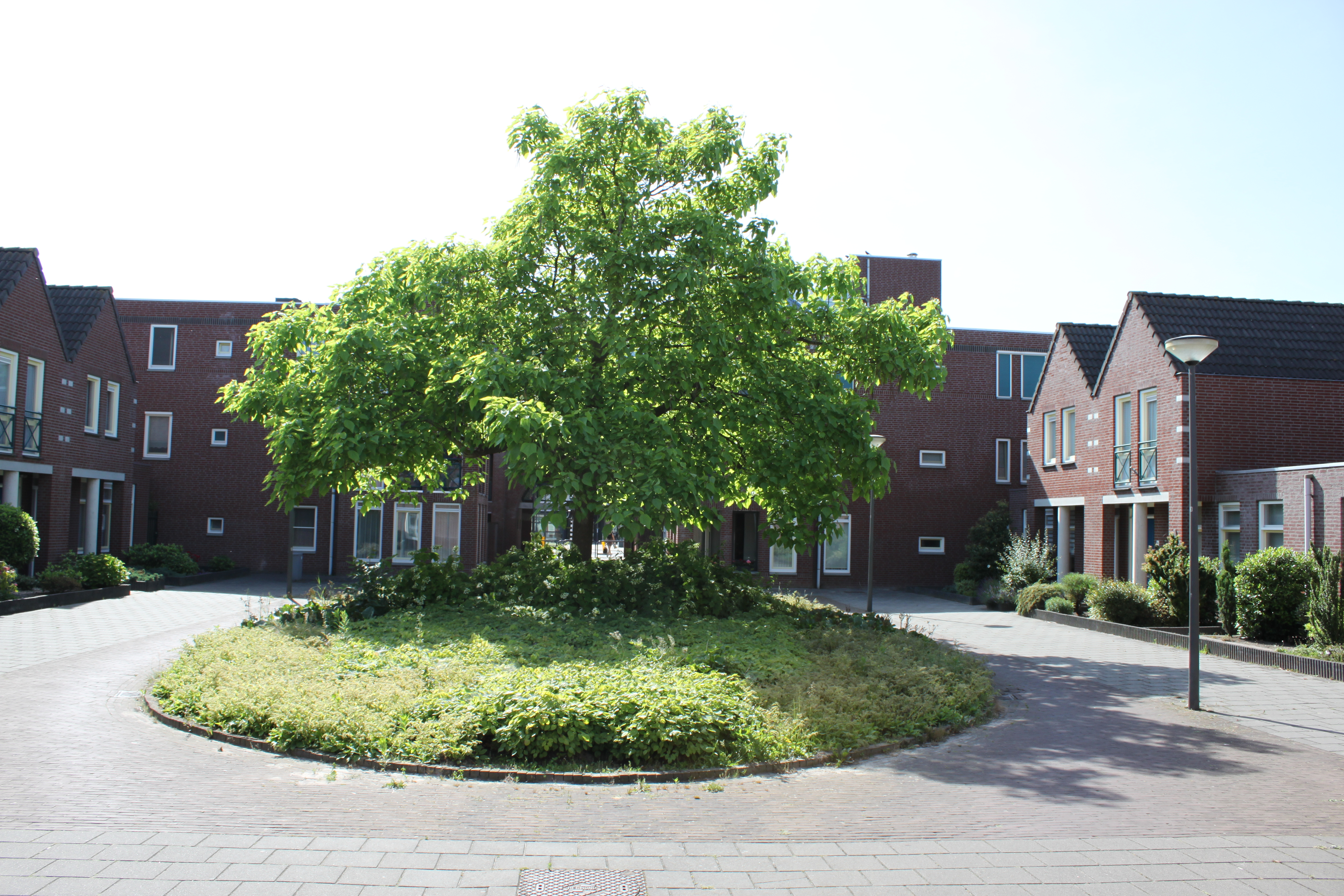 Notehoutstraat 24