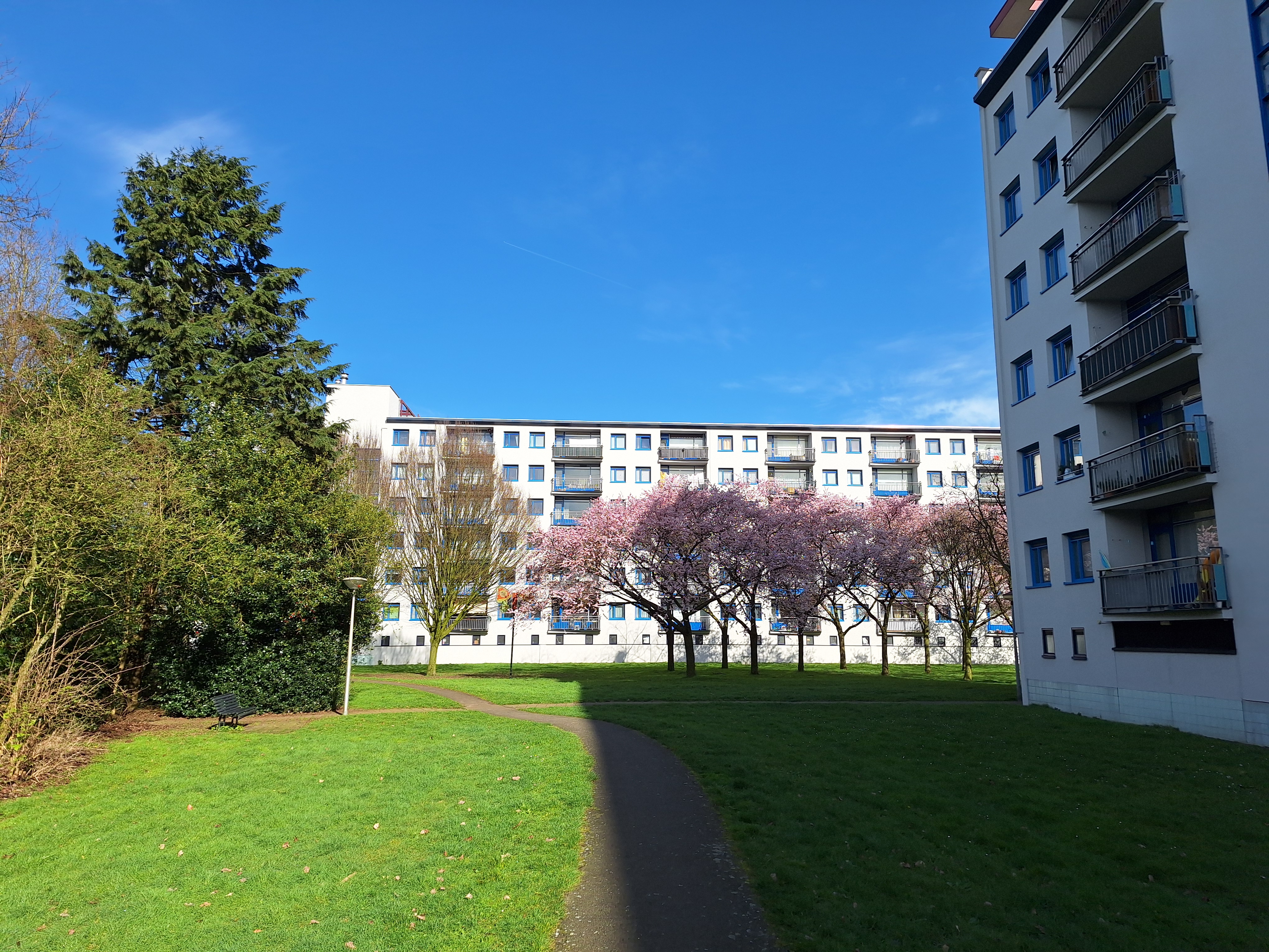 Vuurvlinderstraat 58, 5641 DN Eindhoven, Nederland