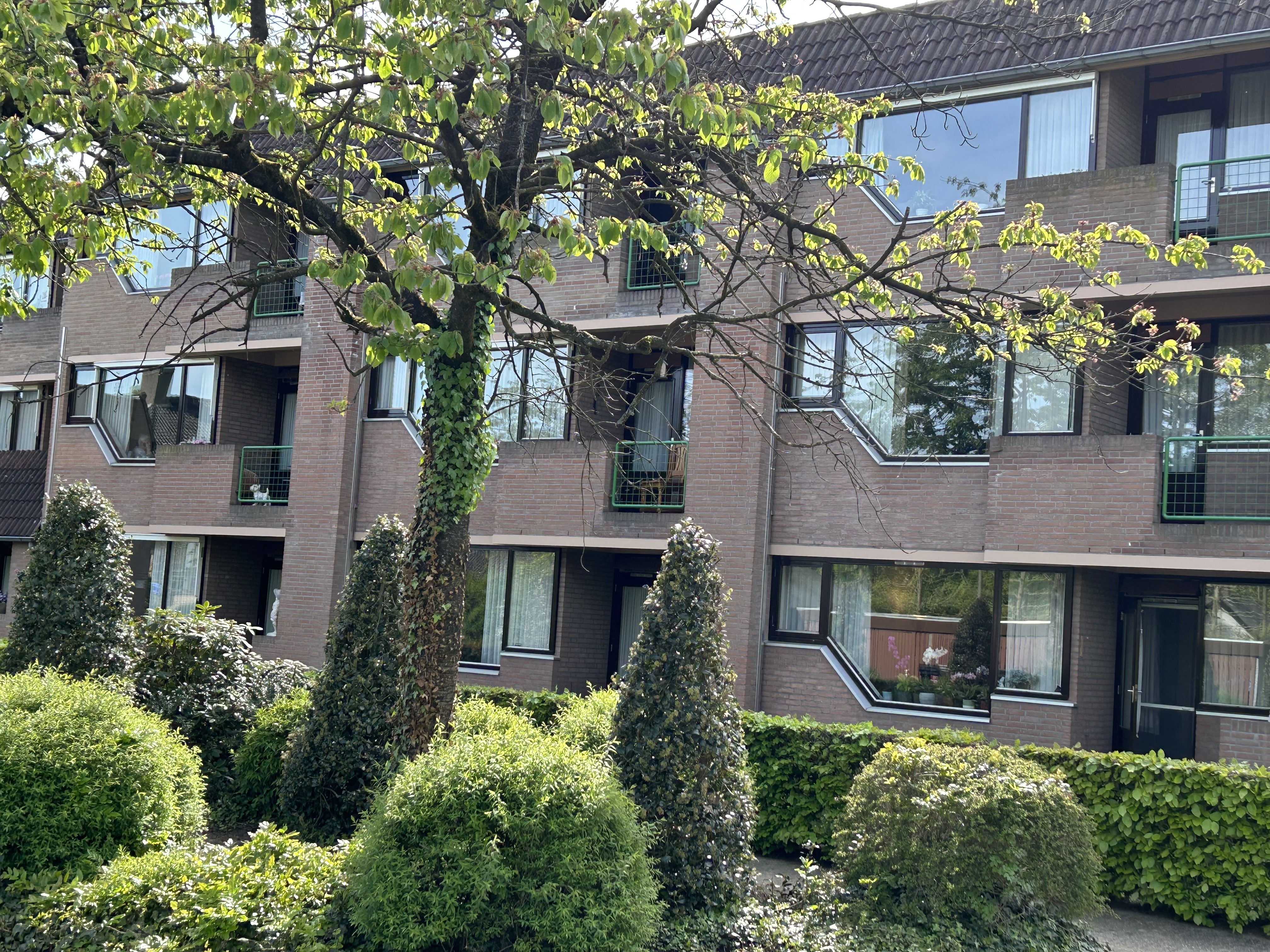 Appartement te huur: Hof 53-32, Meester Pankenstraat-Riethovensedijk Bergeijk
