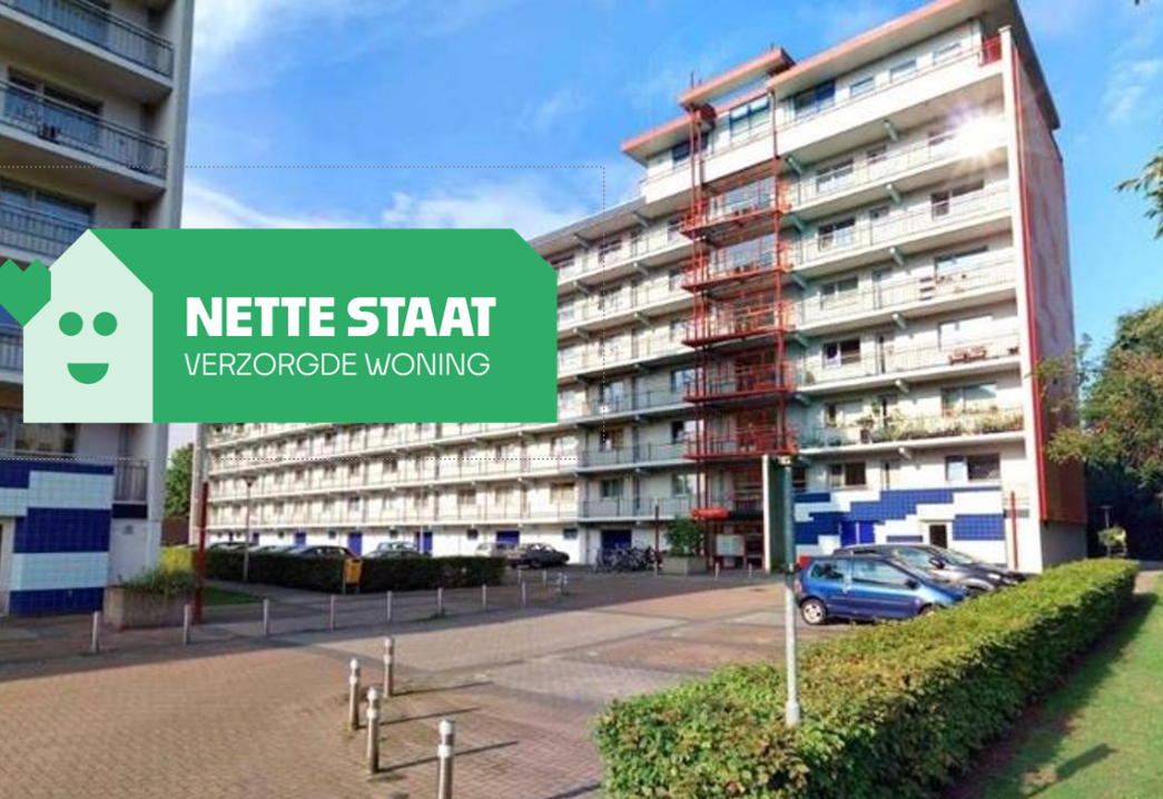Apartment for rent: Bessenvlinderstraat 99, 't Hofke Eindhoven