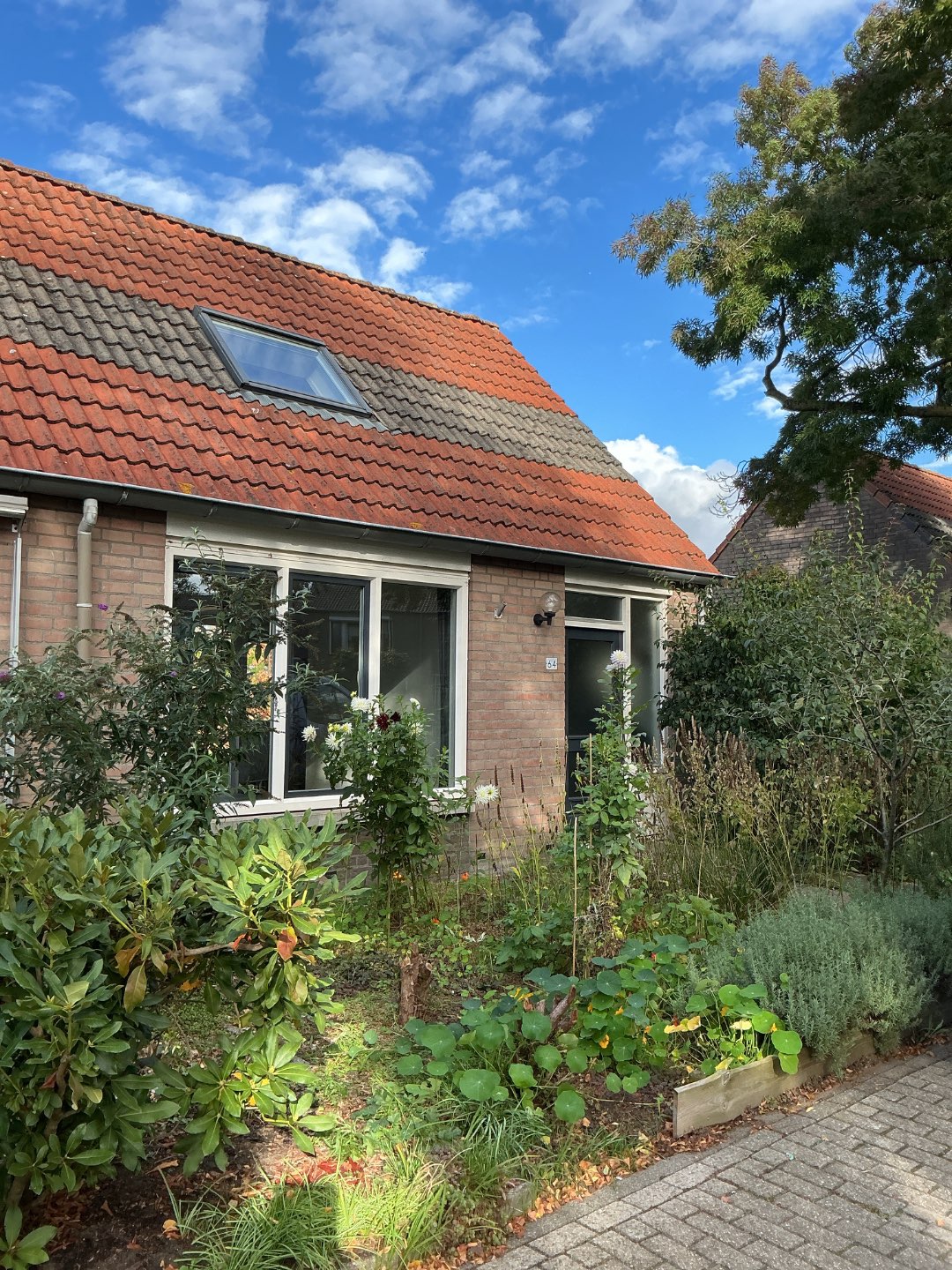 Corner house for rent: Berkelstraat 64, Brouwhuis-West Helmond